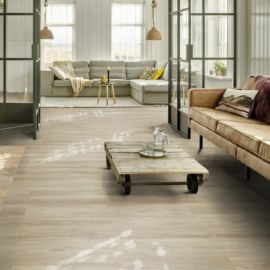 22215 Blackjack Oak