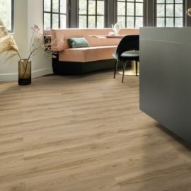 22229 Blackjack Oak